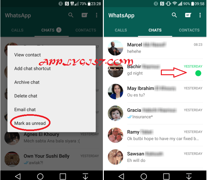 Picture in Picture (PiP) Support WhatsApp