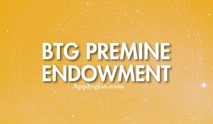 Clarity About Bitcoin Gold Premine locked