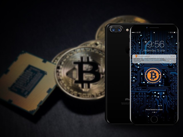 The Best Bitcoin Wallets of 2021