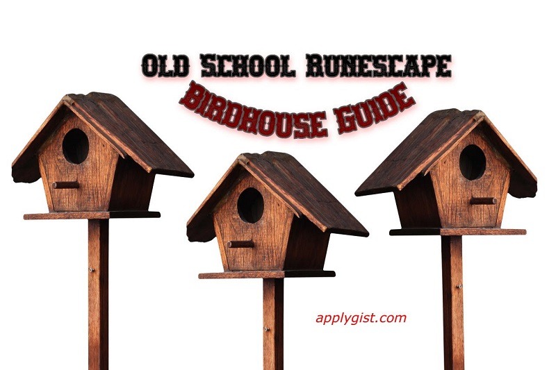 OSRS – What You Need to Know About Birdhouses