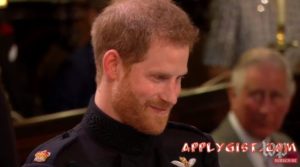 Funny Moments Meghan and Harry Wedding