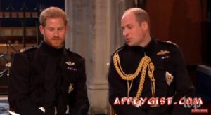 Funny Moments Meghan and Harry Wedding