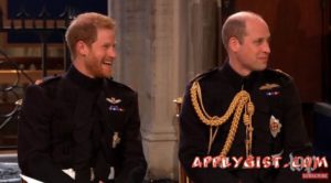 Funny Moments Meghan and Harry Wedding