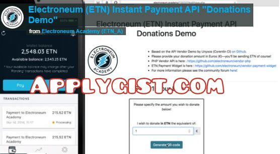 Electroneum API payment