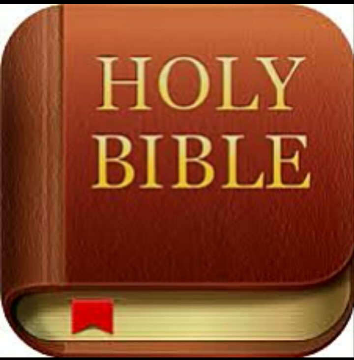 offline Bible apps