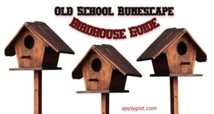 OSRS – What You Need to Know About Birdhouses