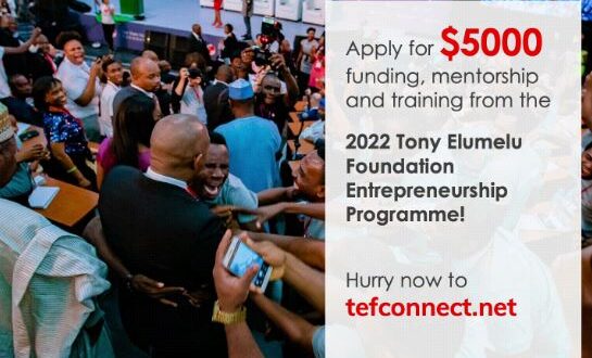 African Entrepreneur By Tony Elumelu